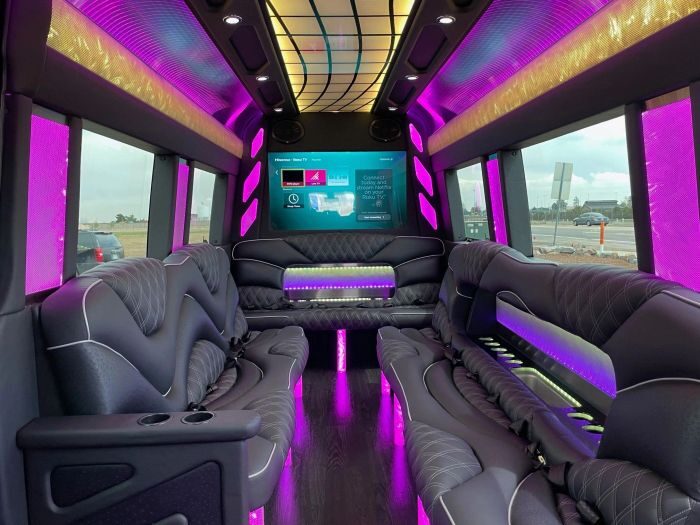 Sprinter limo lounge with TV – Boulder limo service
